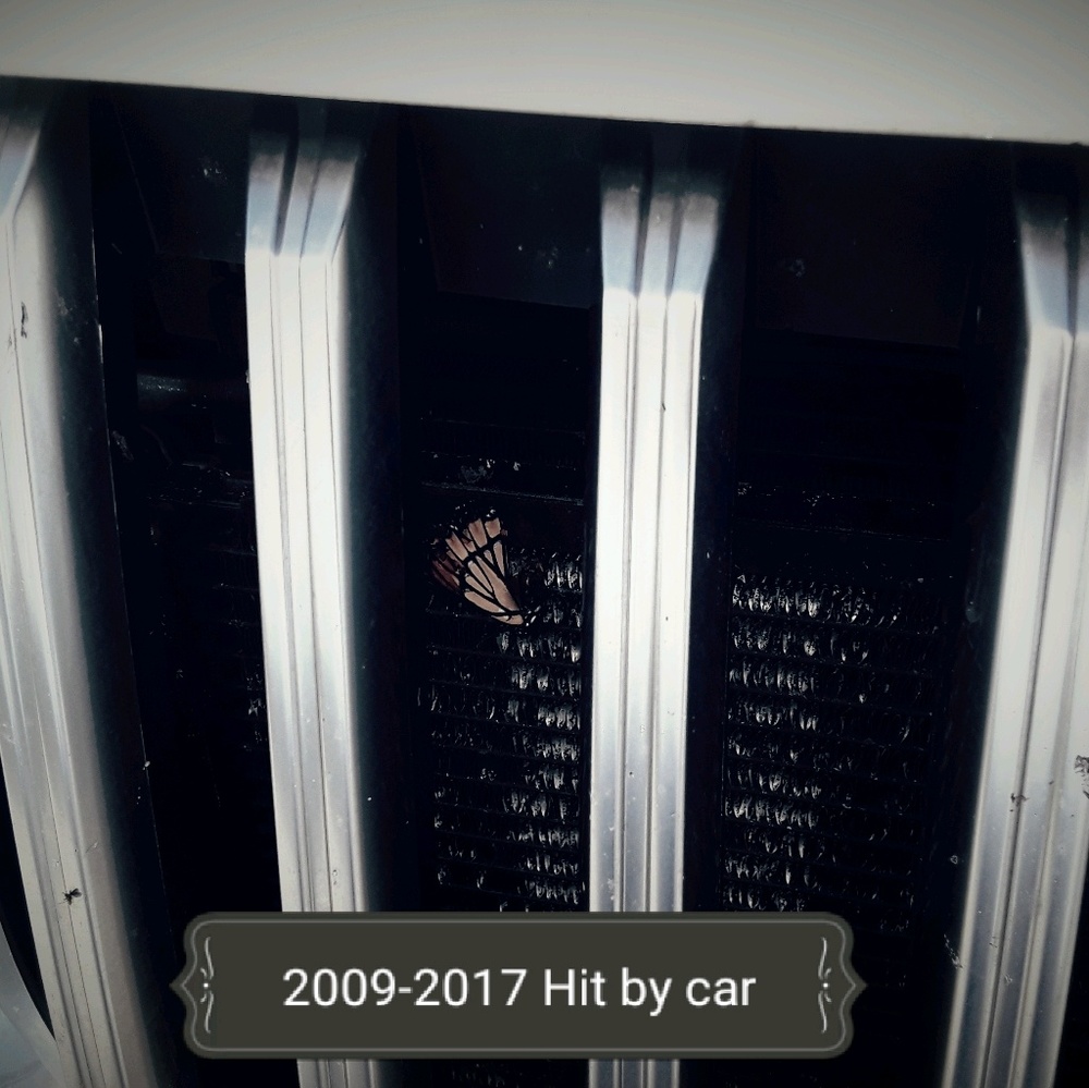 Meet your Posher, Kassidy