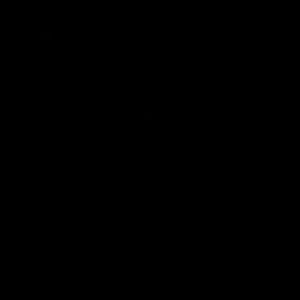 Meet your Posher, Denisha