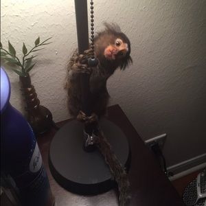 Meet your Posher, Cristian