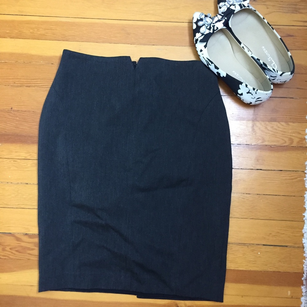 Express Pencil Skirt