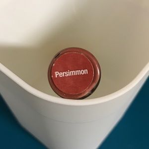 Lipsense PERSIMMON lipstick