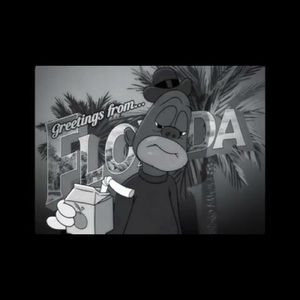 Meet your Posher, Leonard