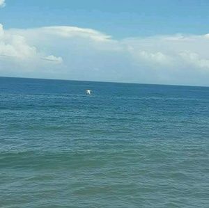 Meet your Posher, Sierra