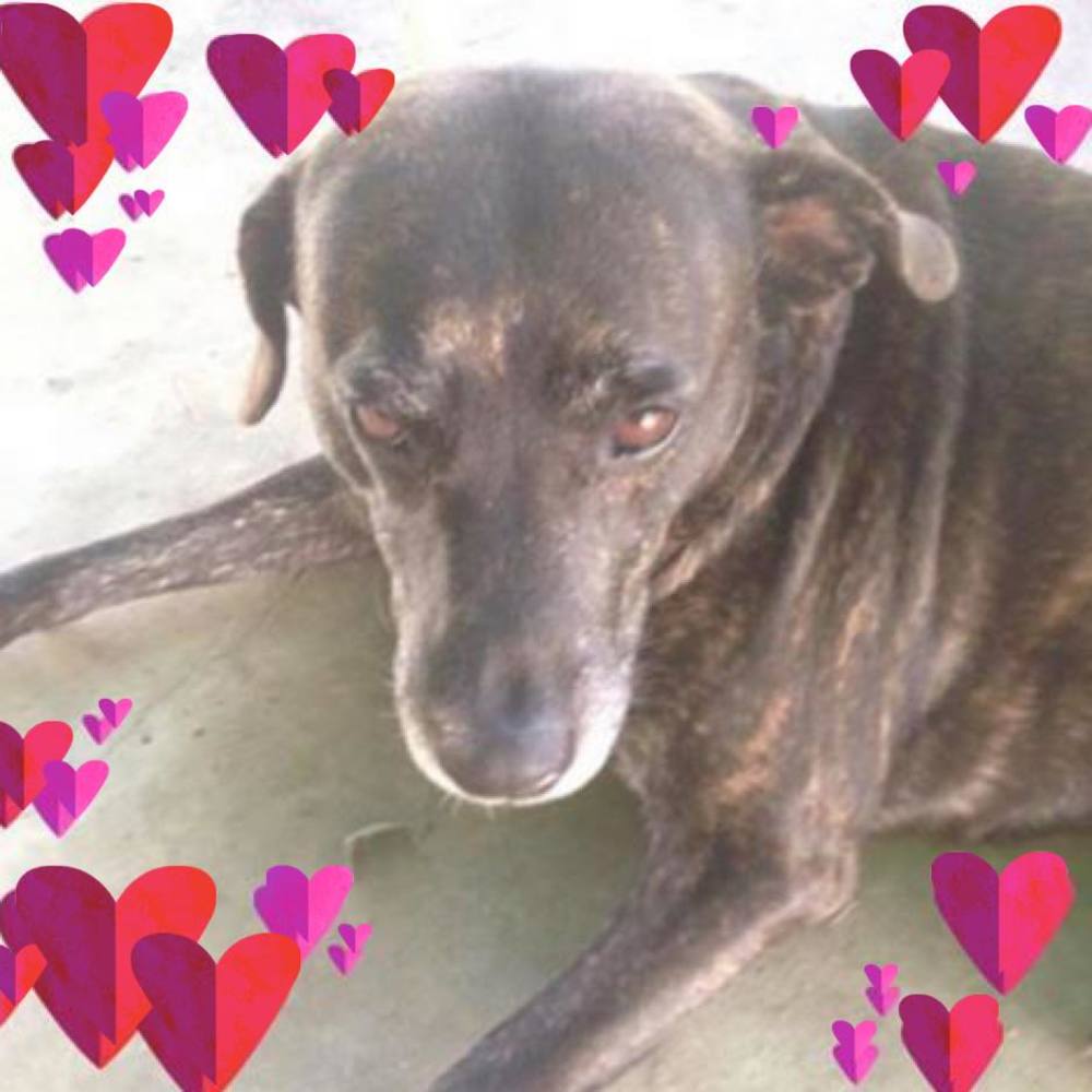 Meet your Posher, Leslie