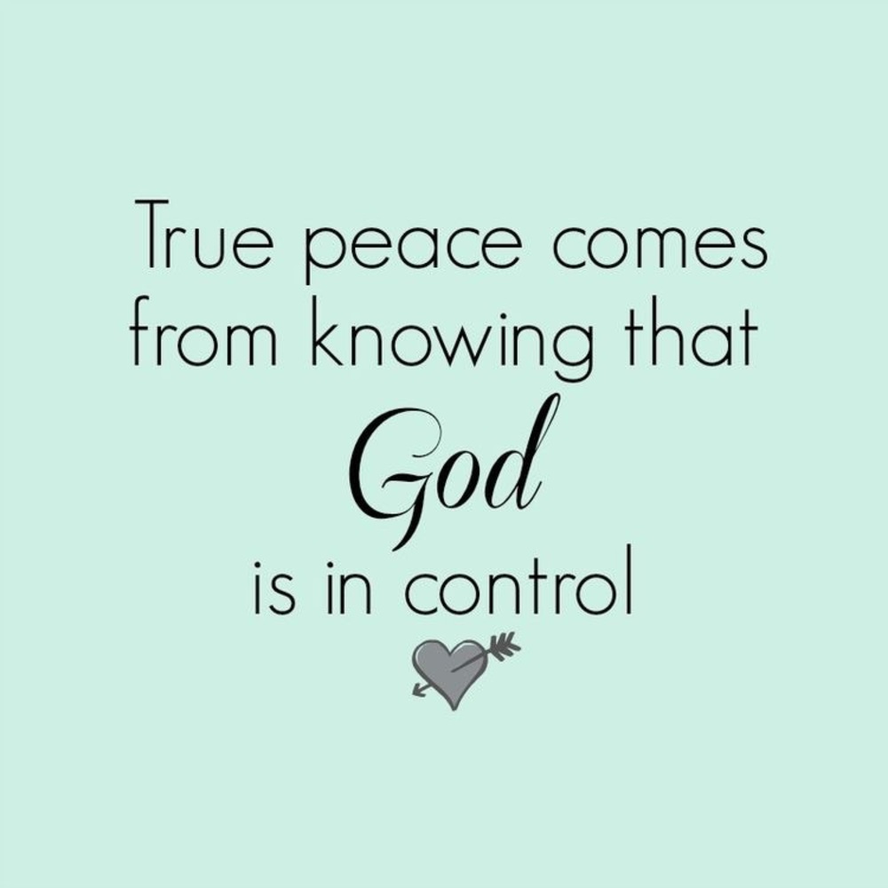 PEACE NOW... - Picture 8 of 8