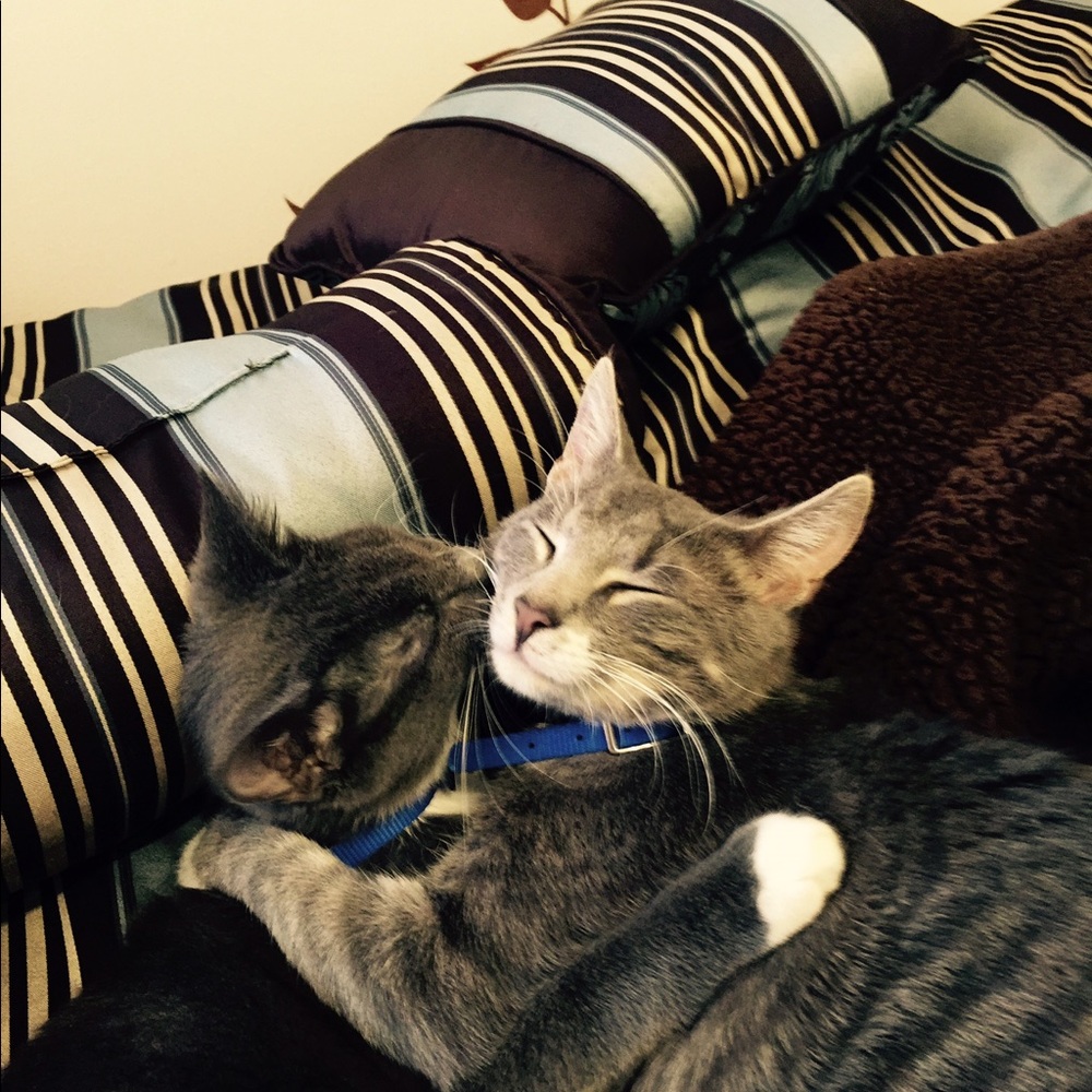 Meet your Posher, Marcela