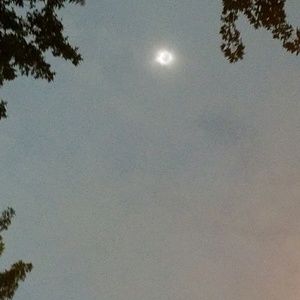 Meet your Posher, Wil