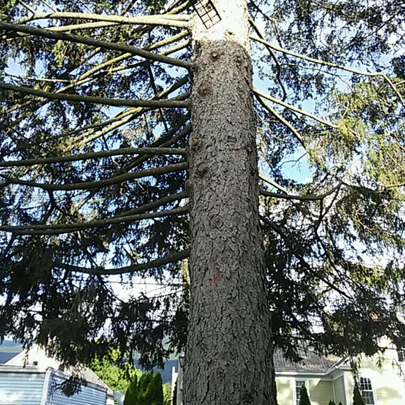 Meet your Posher, Adam - Picture 1 of 1