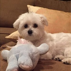 Meet your Posher, Annamarie