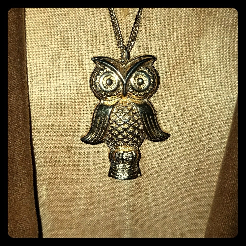 Bergere owl
