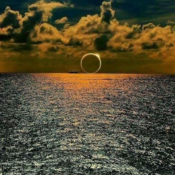 Meet your Posher, Amelia - Picture 1 of 1