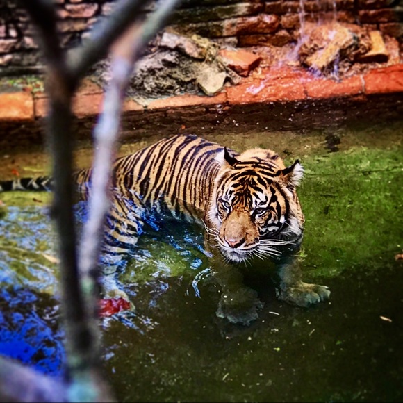 Meet your Posher, Eric - Picture 1 of 1