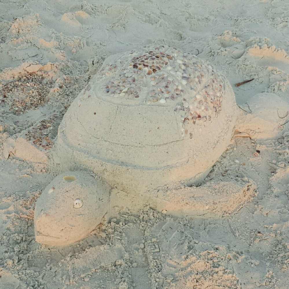 Meet your Posher, Molly