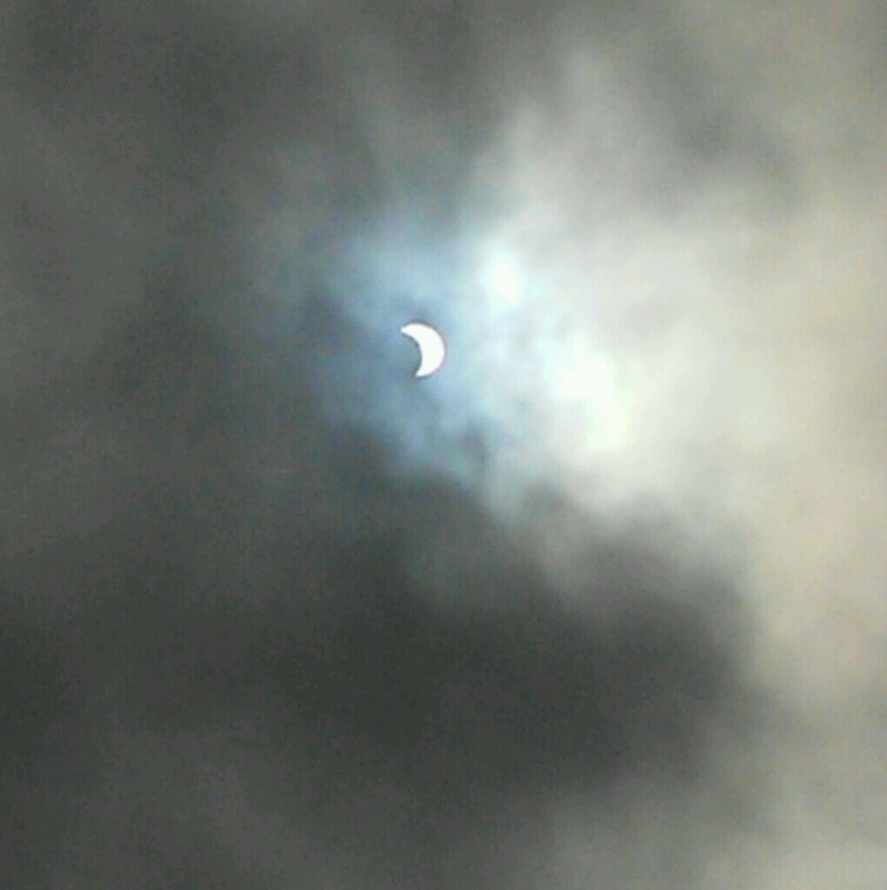 Meet your Posher, Lillian