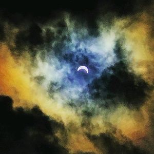 Meet your Posher, Vinny