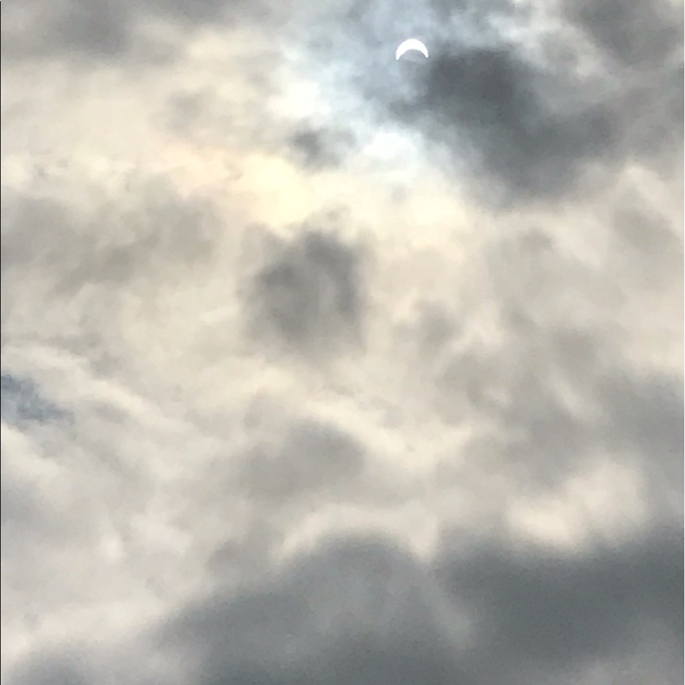 Meet your Posher, Alexsus