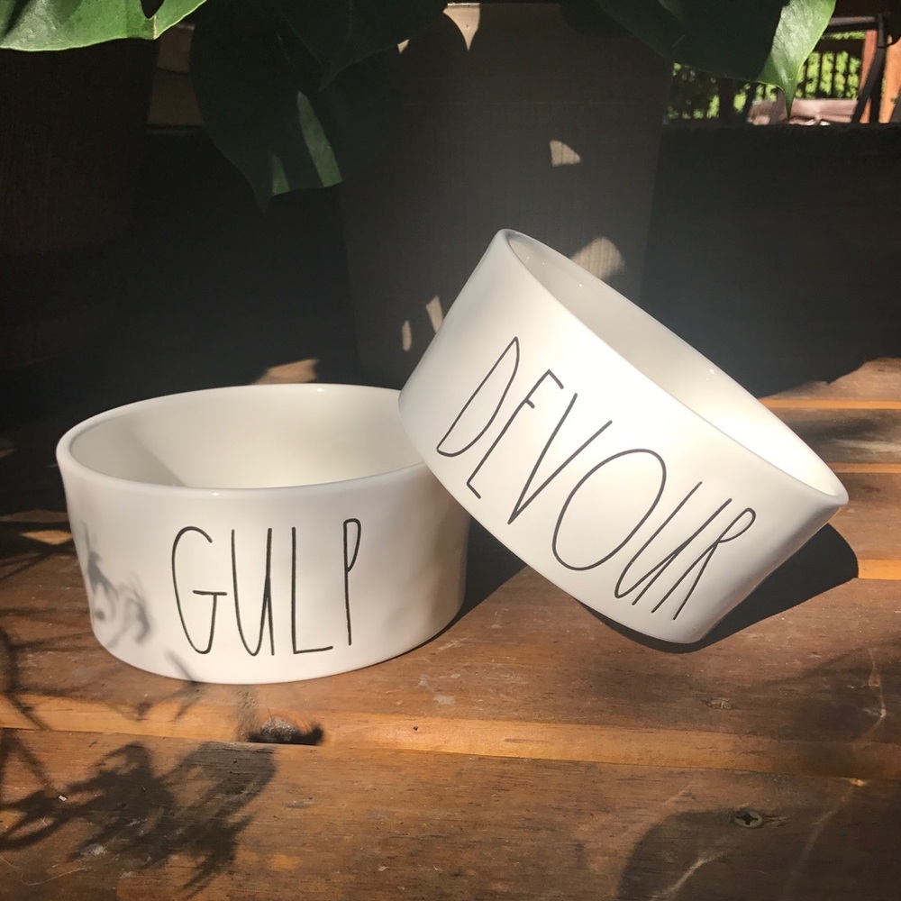 RAE DUNN Pet Bowl SET