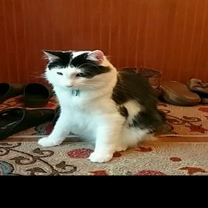 Meet your Posher, Don