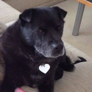 Meet your Posher, Marie