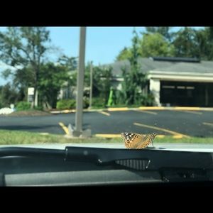 I'm back to the selling game!