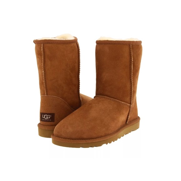 NWT Classic Short Chestnut Uggs - Picture 1 of 6