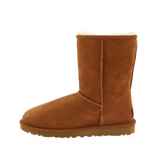 NWT Classic Short Chestnut Uggs - Picture 2 of 6