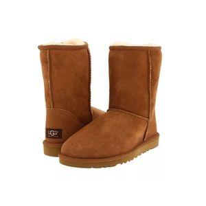 NWT Classic Short Chestnut Uggs