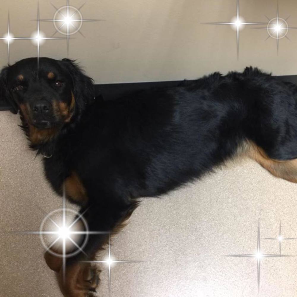 Meet your Posher, Catherine