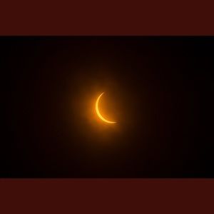 Meet your Posher, Brody