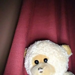 Meet your Posher, Carol