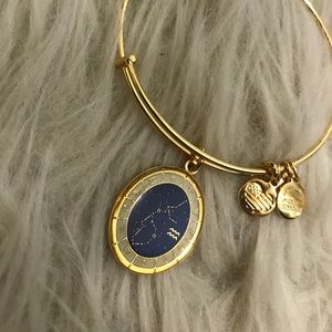 Aquarius Alex and Ani Bracelet
