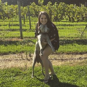 Meet your Posher, Sierra