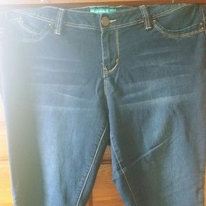 Plus size YMI skinny leg jeans