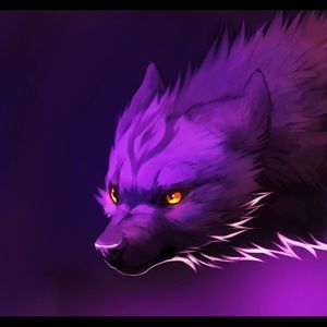 Meet your Posher, Xavier