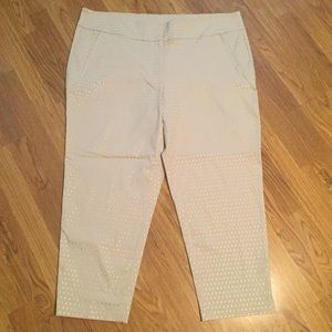 Lane Bryant brand new ankle pants size 26