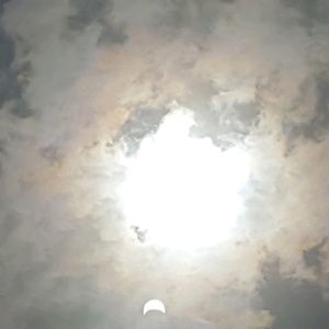 Meet your Posher, Penny