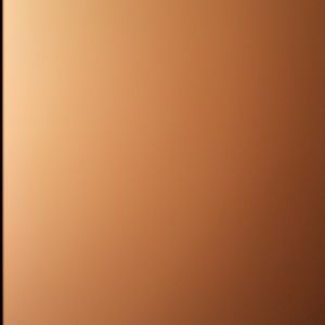 Meet your Posher, Nidhi