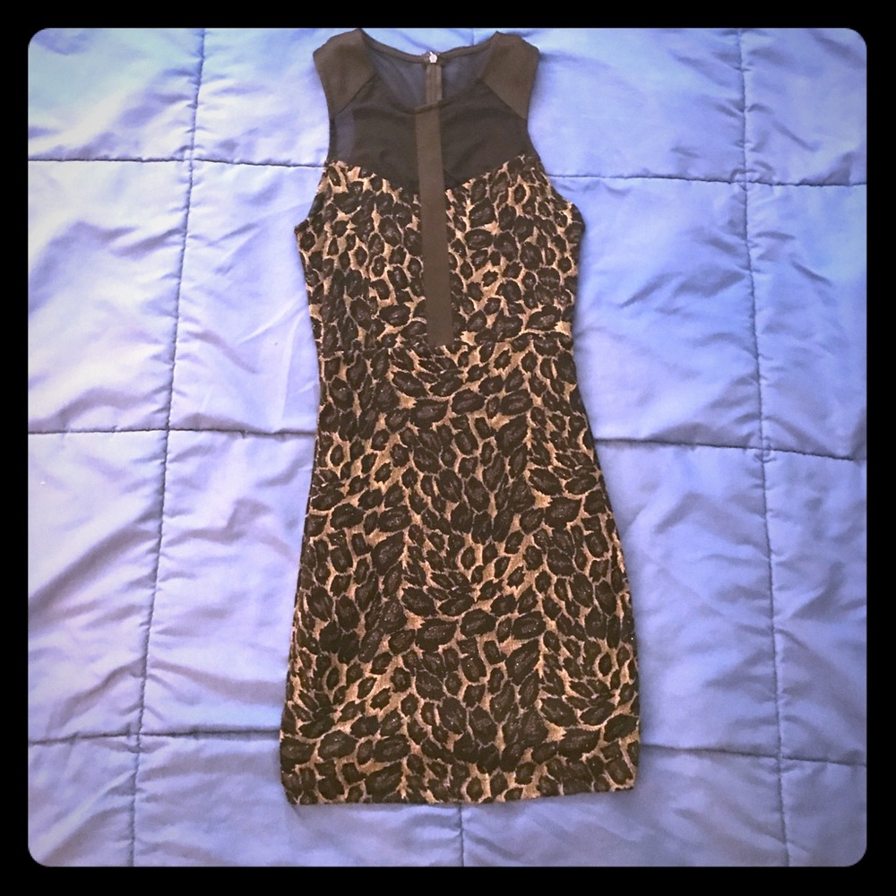 Foreign Exchange Dress- Like New!