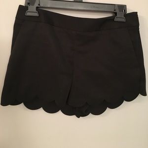 NWOT shorts
