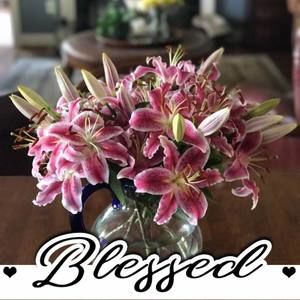 Meet your Posher, Fran