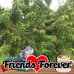 Meet your Posher, Valbona