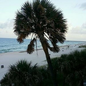 Meet your Posher, Tonya