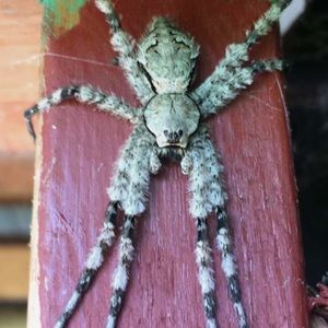 Meet your Posher, Phillip