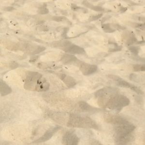 Meet your Posher, Alexa