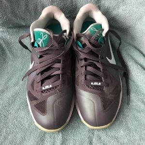 Nike LeBron 9 lower Easter