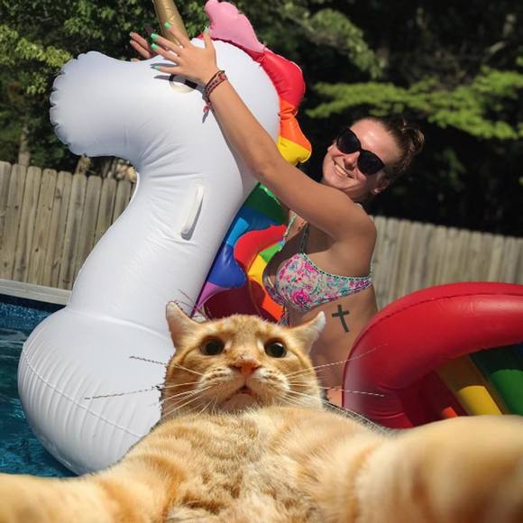 Meet your Posher, Emma - Picture 1 of 1