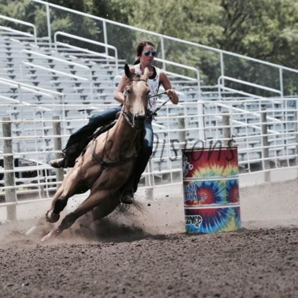 Meet your Posher, Chesney