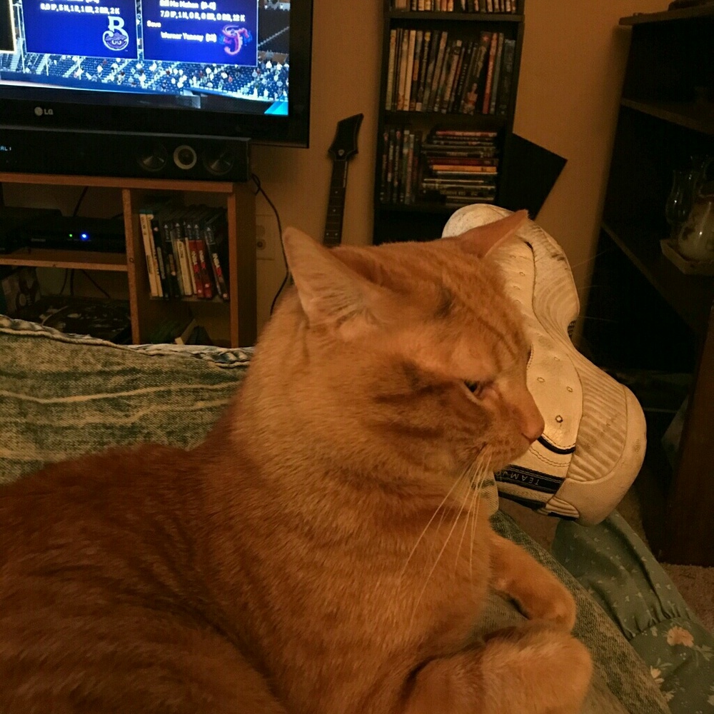 Meet your Posher, Sharon