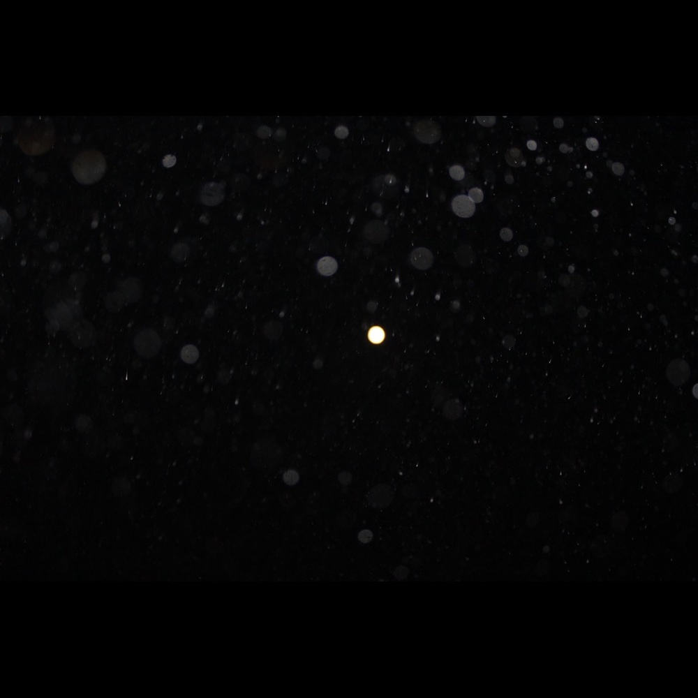 RYLEE!!! - Picture 4 of 8