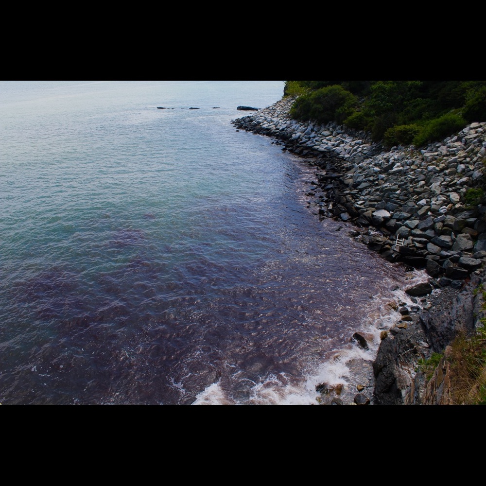 RYLEE!!! - Picture 6 of 8